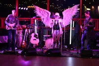 Wings
